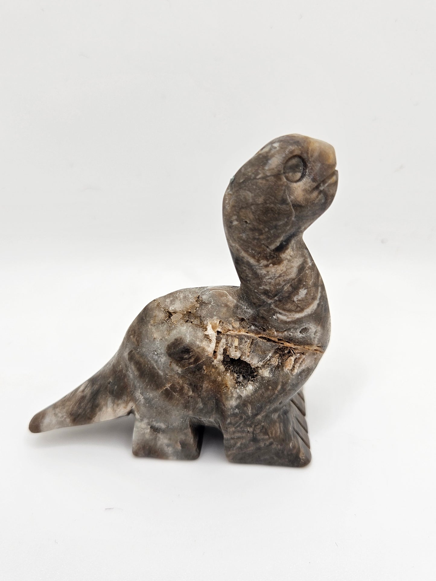 Longneck Dino Carving