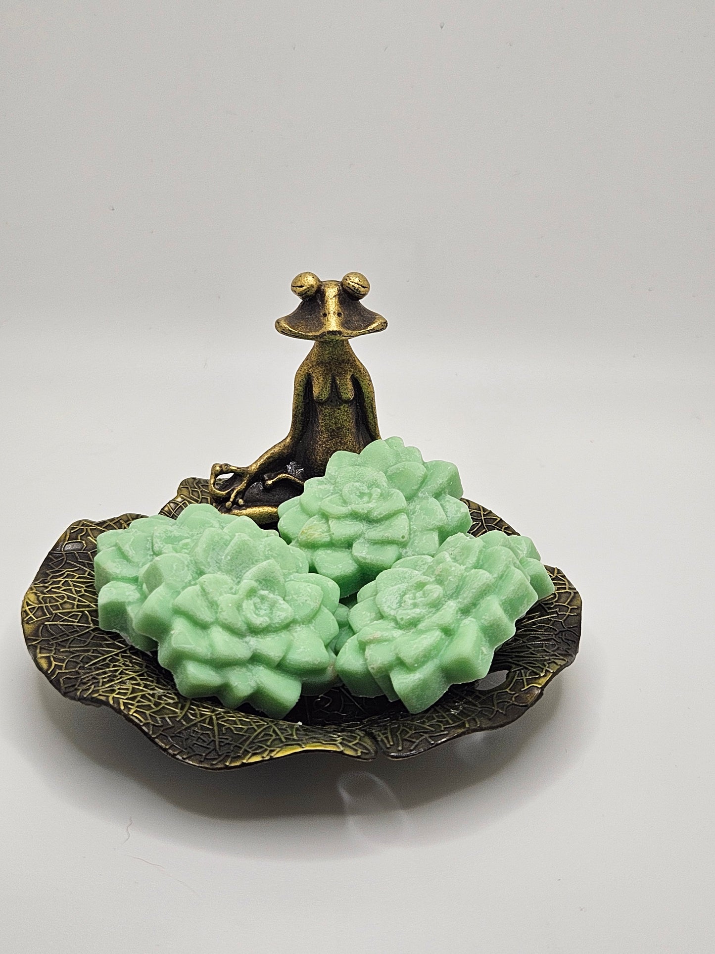 Succulent Wax Melts