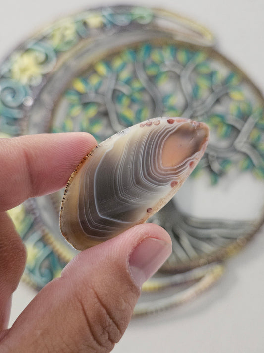 Botswana Agate Slices (medium)