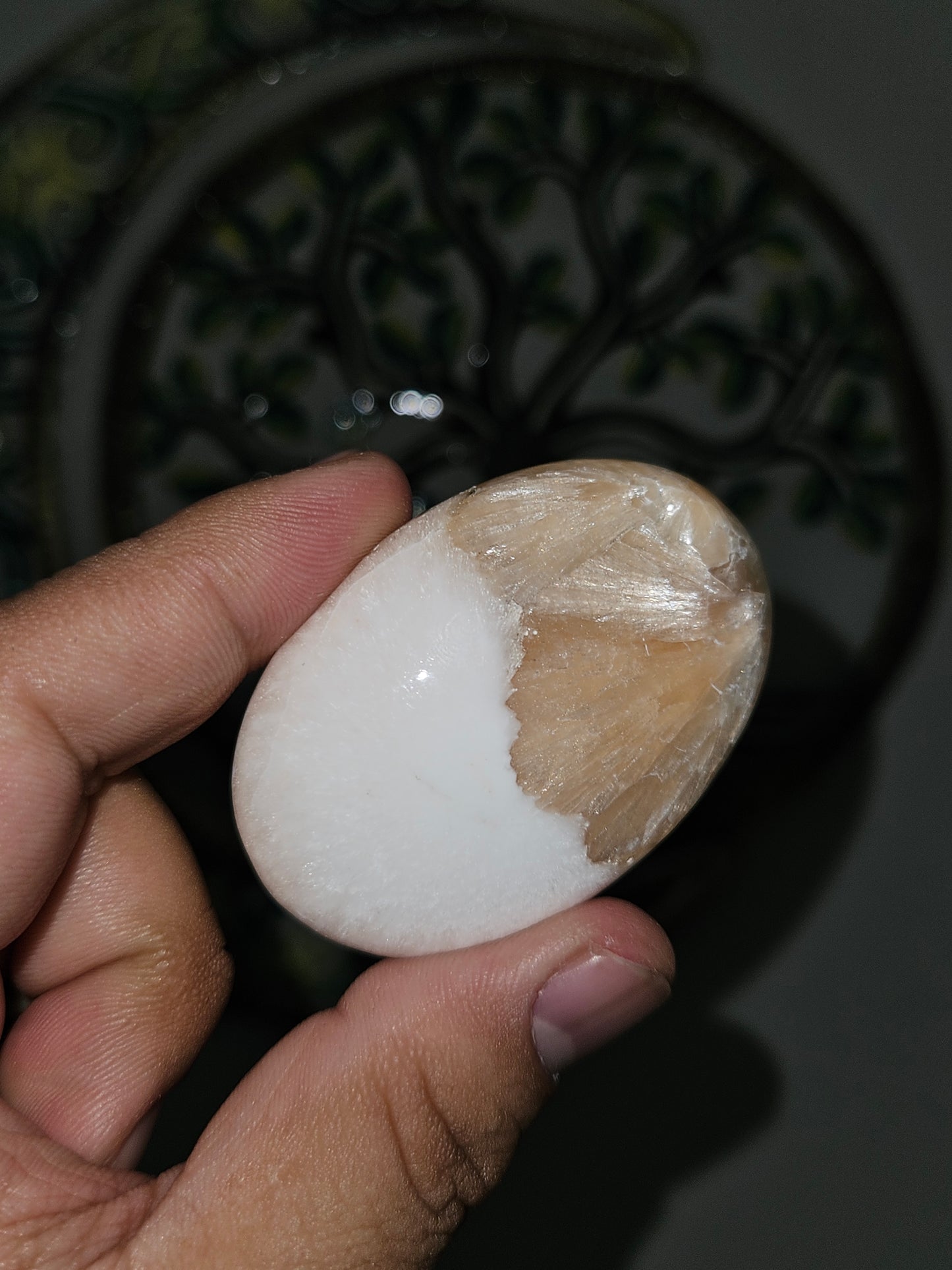 Scolecite Palmstones (You Pick)