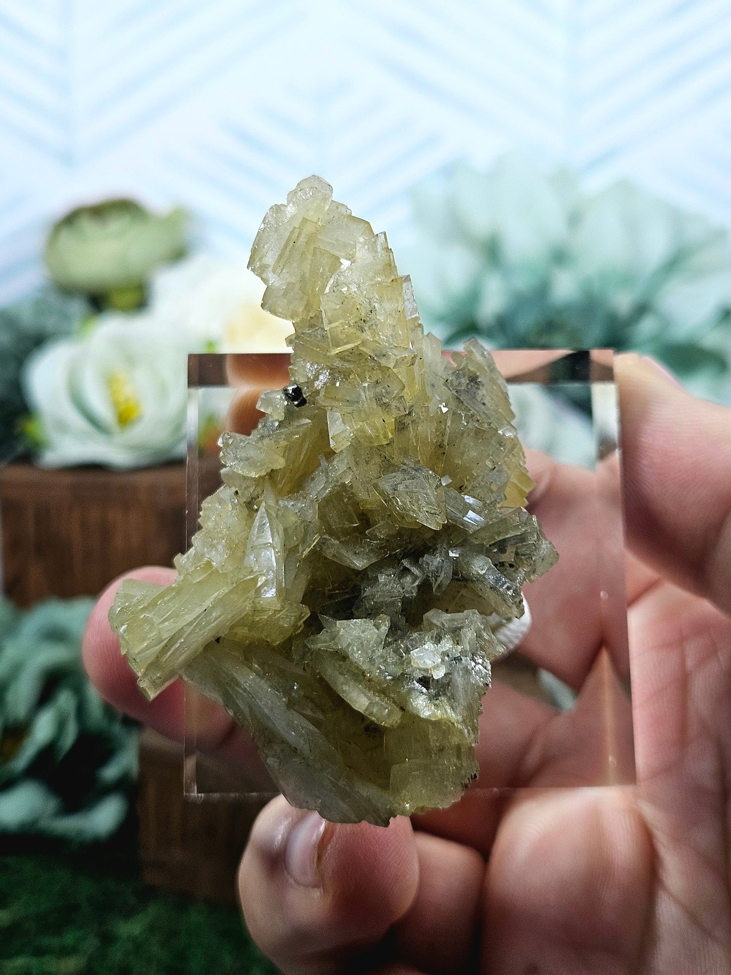 Golden Barite