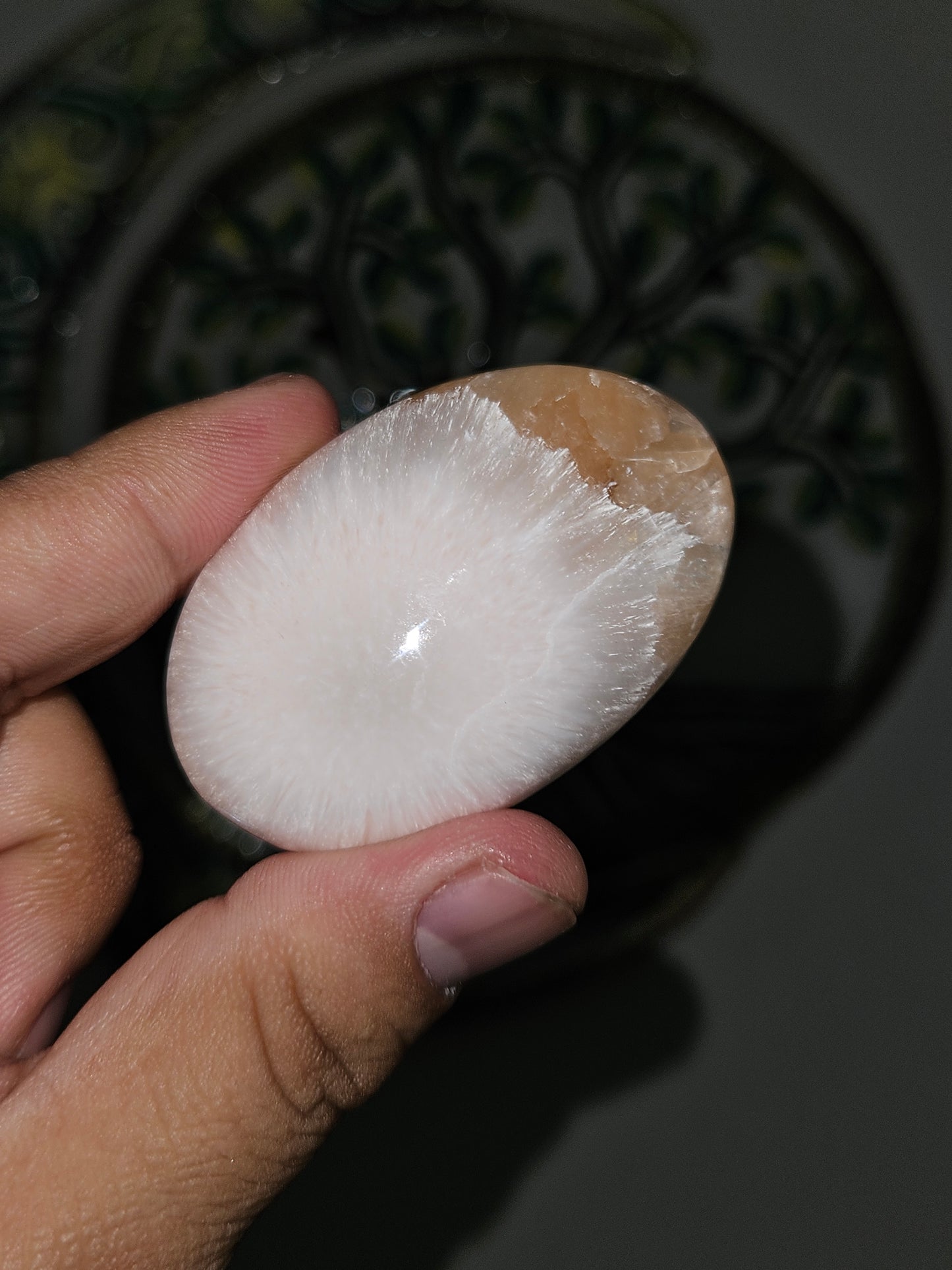 Scolecite Palmstones (You Pick)